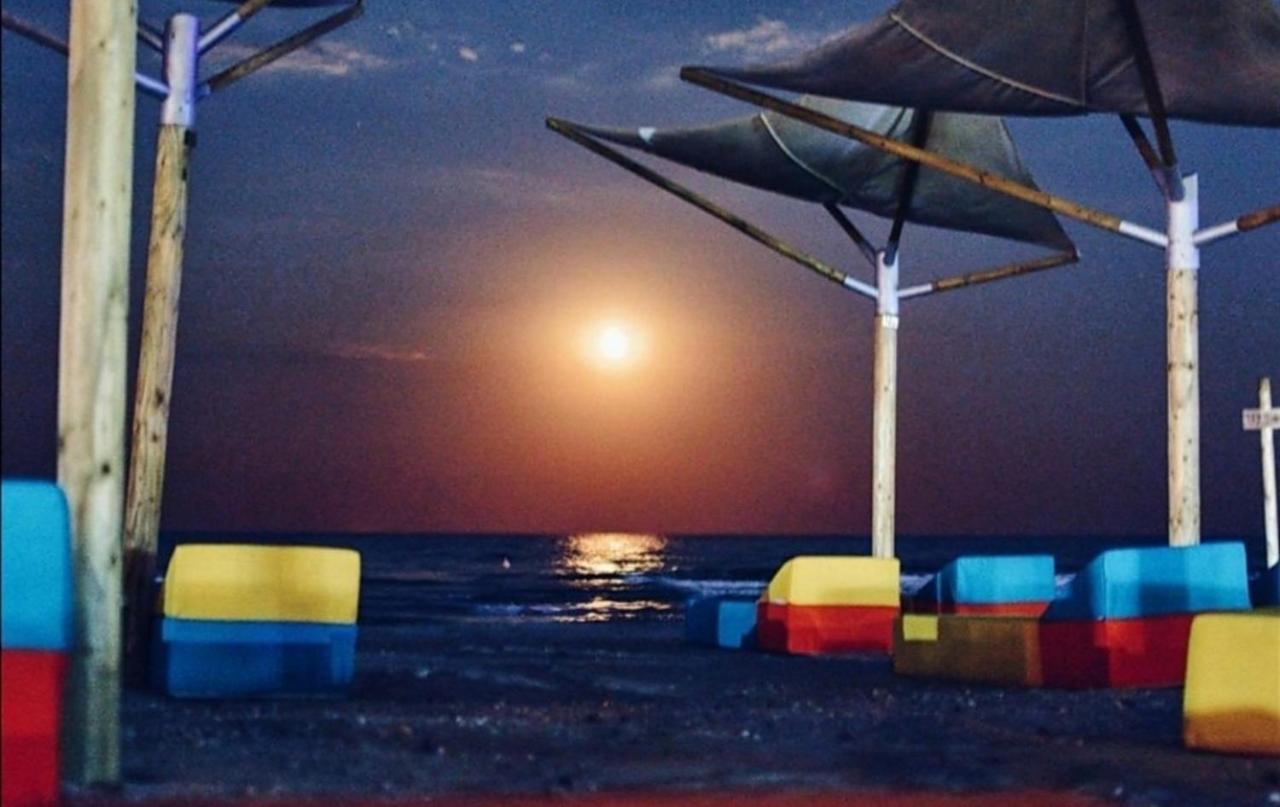 Yvo Lioness & Mamaia Nord Apartment นาโวดาริ ภายนอก รูปภาพ